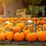 Come si festeggia Halloween nel mondo?