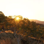 5 motivi per fare un giro del mondo nonostante la pandemia di Covid