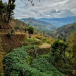 Indigenous people trail: pellegrinaggio e avventura sull’Himalaya