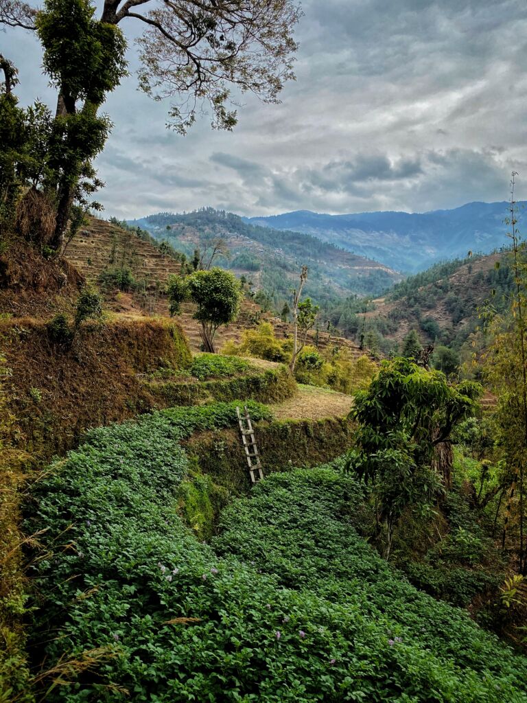 Indigenous people trail: pellegrinaggio e avventura sull’Himalaya