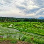 Viaggio a Bali, 10 cose da vedere