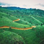 Mollare tutto e trasferirsi in Sri Lanka