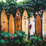 Hawaii, cosa vedere e come organizzare il viaggio?