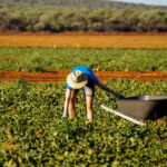 7 lavori che ti permettono di viaggiare e guadagnare