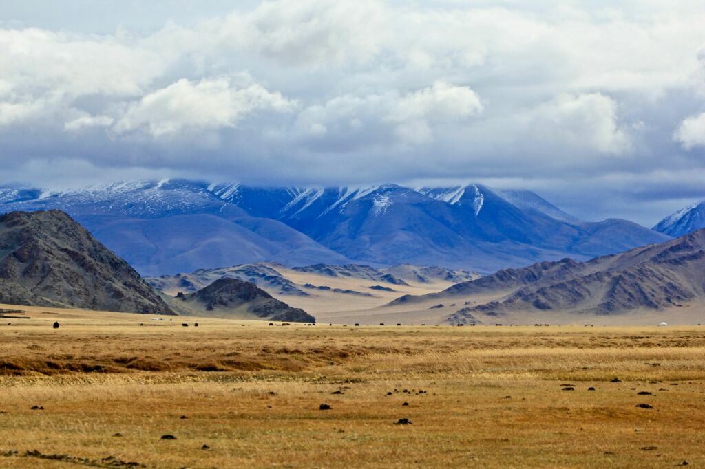 mongolia clima