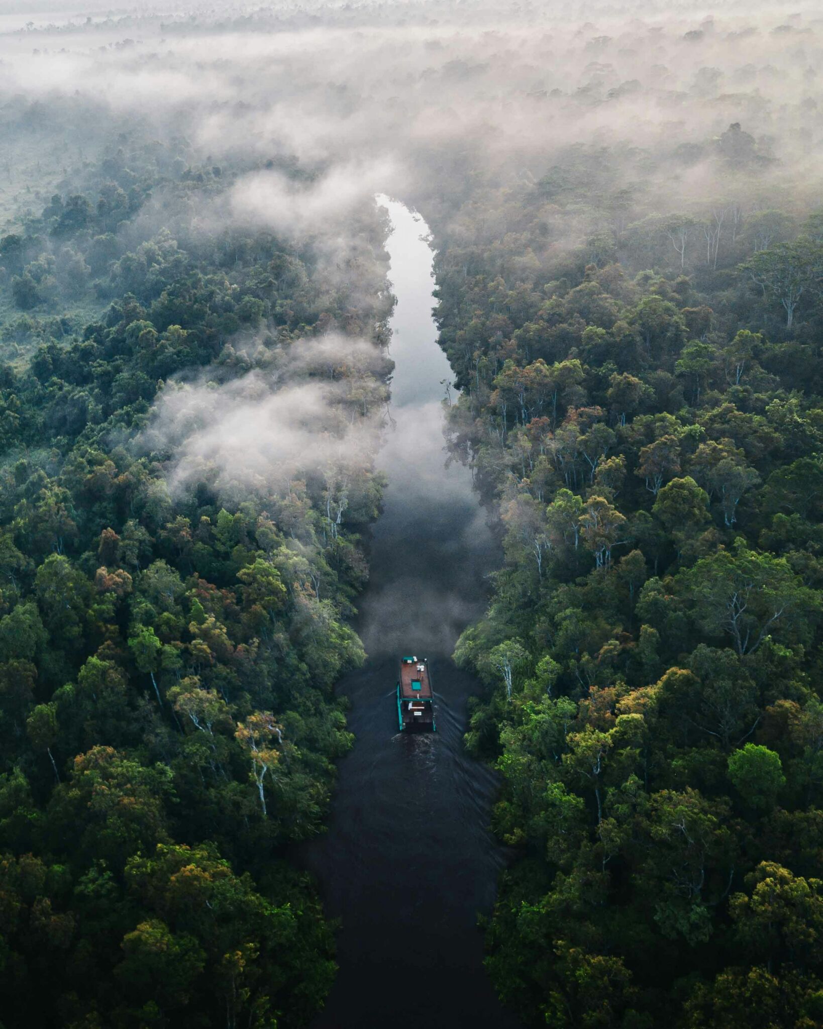 Viaggio in Amazzonia: dove andare e quanti giorni