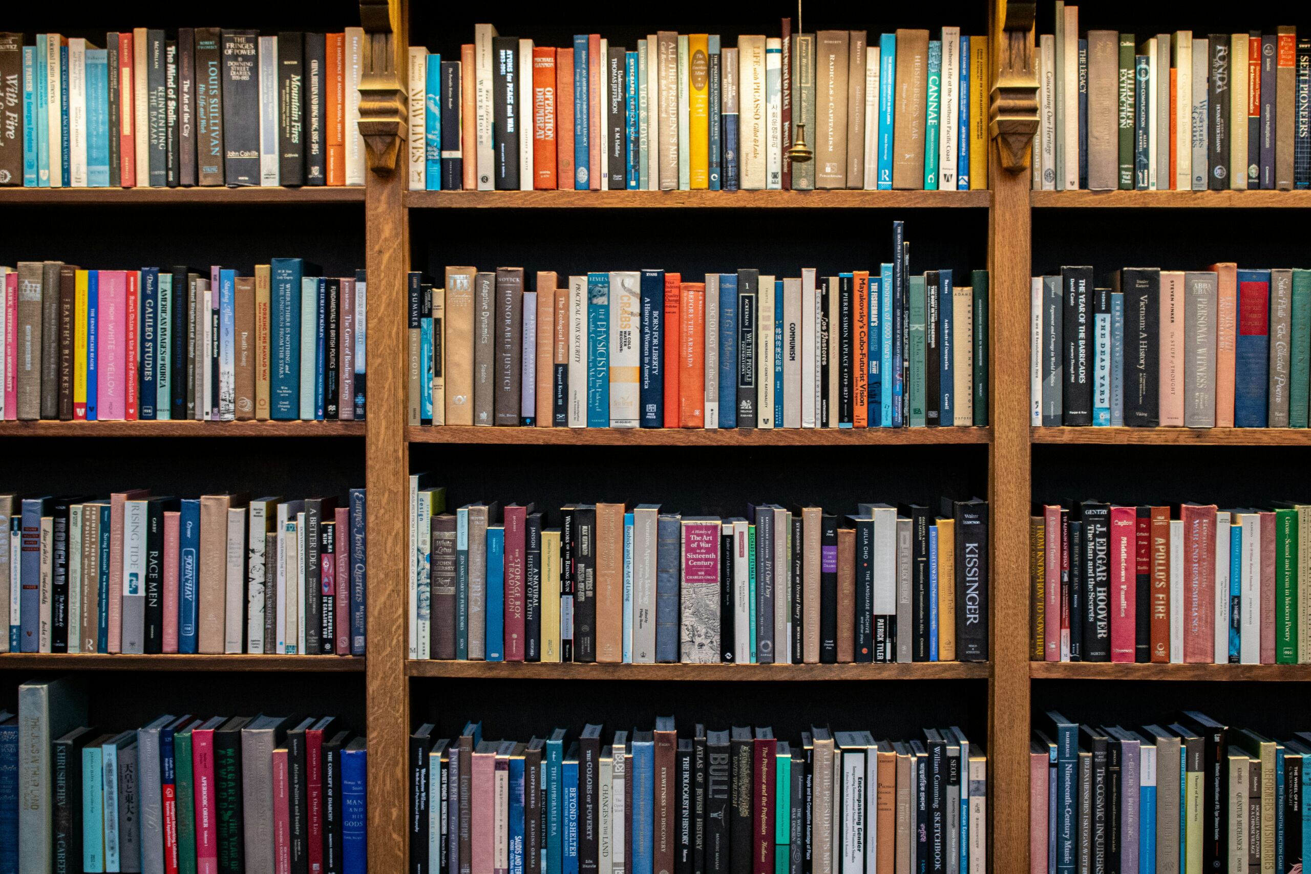 Libri da leggere nel 2026 a tema viaggi: 10 idee