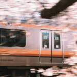 Hanami in Giappone: tutto quello che devi sapere sui fiori di ciliegio sakura