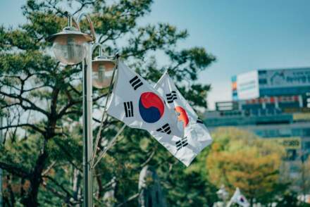 Studiare in Corea del Sud: guida pratica per studenti internazionali tra visti, università e vita quotidiana